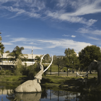 Exploring Extinct Ecosystems live from the La Brea Tar Pits